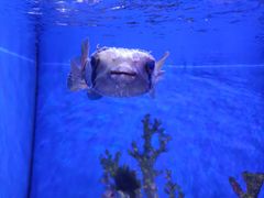 -多彩贵州城极地海洋世界