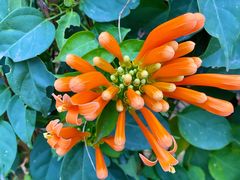 -福建鲤鱼洲酒店