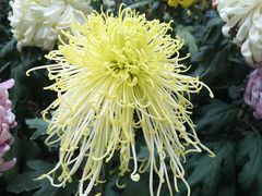 -上海市龙华烈士陵园