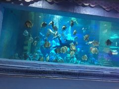 -梦幻海洋王国(吾悦广场张家港店)