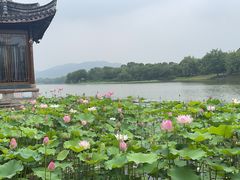 -湘湖大院(越王路店)