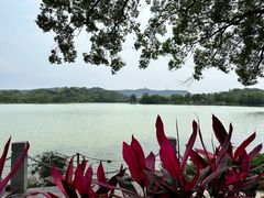 -惠州西湖