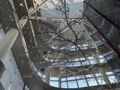 -南宁那莲豪华精选酒店-云霄酒廊·80楼高空城景酒吧