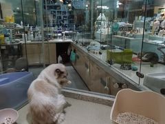 -PET WISH宠物愿望(BFC外滩金融中心店)