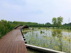 -永定河休闲森林公园