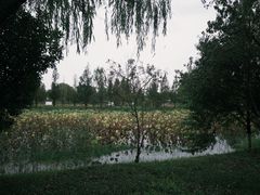 -南湖国家城市湿地公园