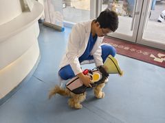-全心全意动物诊疗中心医院(北苑店)