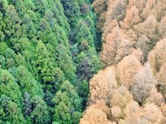 -山王坪喀斯特国家生态公园