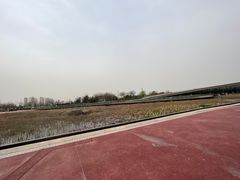 -西安浐灞国家湿地公园
