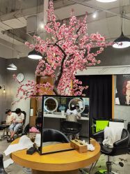 -时尚殿堂明星门店