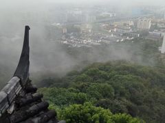 -杭州半山国家森林公园