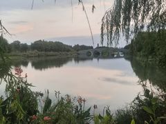 -三垟湿地