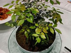 -御仙都北京菜馆·烤鸭店(双井店)