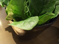 菠菜-左庭右院鲜牛肉火锅(南通CBD大有境店)