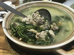 桑叶芽浸鸡-得福农庄