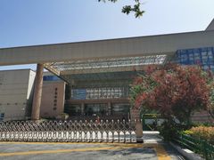 -青岛市图书馆