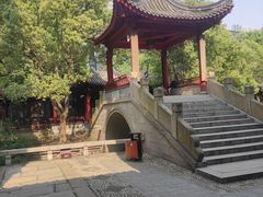 -龙潭水乡