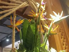 -云海肴·汽锅鸡·云南菜(天山百盛优客店)