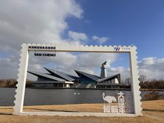 -盐城丹顶鹤湿地生态旅游区