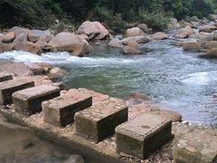 -海南热带雨林国家公园吊罗山景区