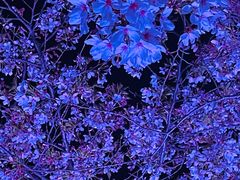 -西北湖绿化广场