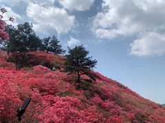 -木兰云雾山