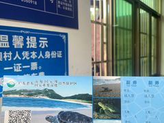 -广东惠东海龟国家级自然保护区