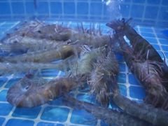 -海底捞火锅(威高广场店)