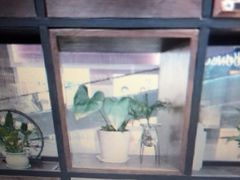 -桂桂茶(万嘉广场店)