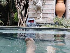 -熹乐谷温泉度假区