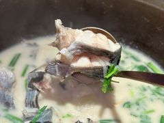 -咕嘟草帽鱼·牛奶一样的鲜鱼汤(天鹅湖万达广场店)