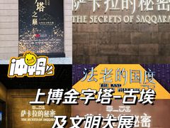 -上海博物馆(人民广场馆)