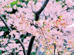 -静安雕塑公园