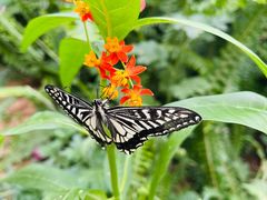 -北京国际鲜花港