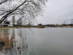 -九里河湿地公园