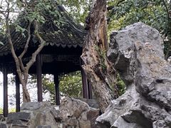 -西园戒幢律寺