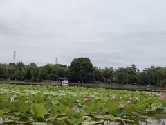 -堤角公园