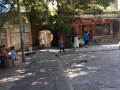-小洲村