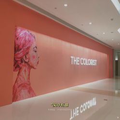 -THE COLORIST调色师