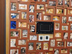 -猫十亿·布偶金渐层·曼基康矮脚猫舍(青年路店)