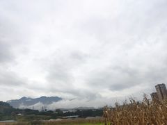 -四川农业大学(雅安校区)