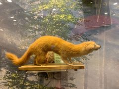 -下渚湖国家湿地公园科普馆