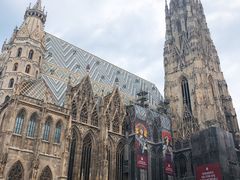 -斯蒂芬主教座堂(Stephansdom)