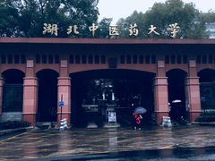 -湖北中医药大学(昙华林校区)