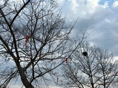 -良渚古城遗址公园