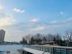 -杭州奥体中心-体育场