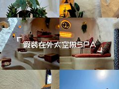 -Sirena海妖日咖夜酒