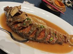 -金狮麟·新豫菜(金码大厦店)