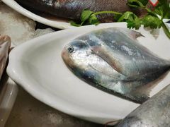 -开鑫鱼厂·宁波海鲜(前程智慧城店)