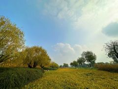 -汉长安城未央宫国家考古遗址公园